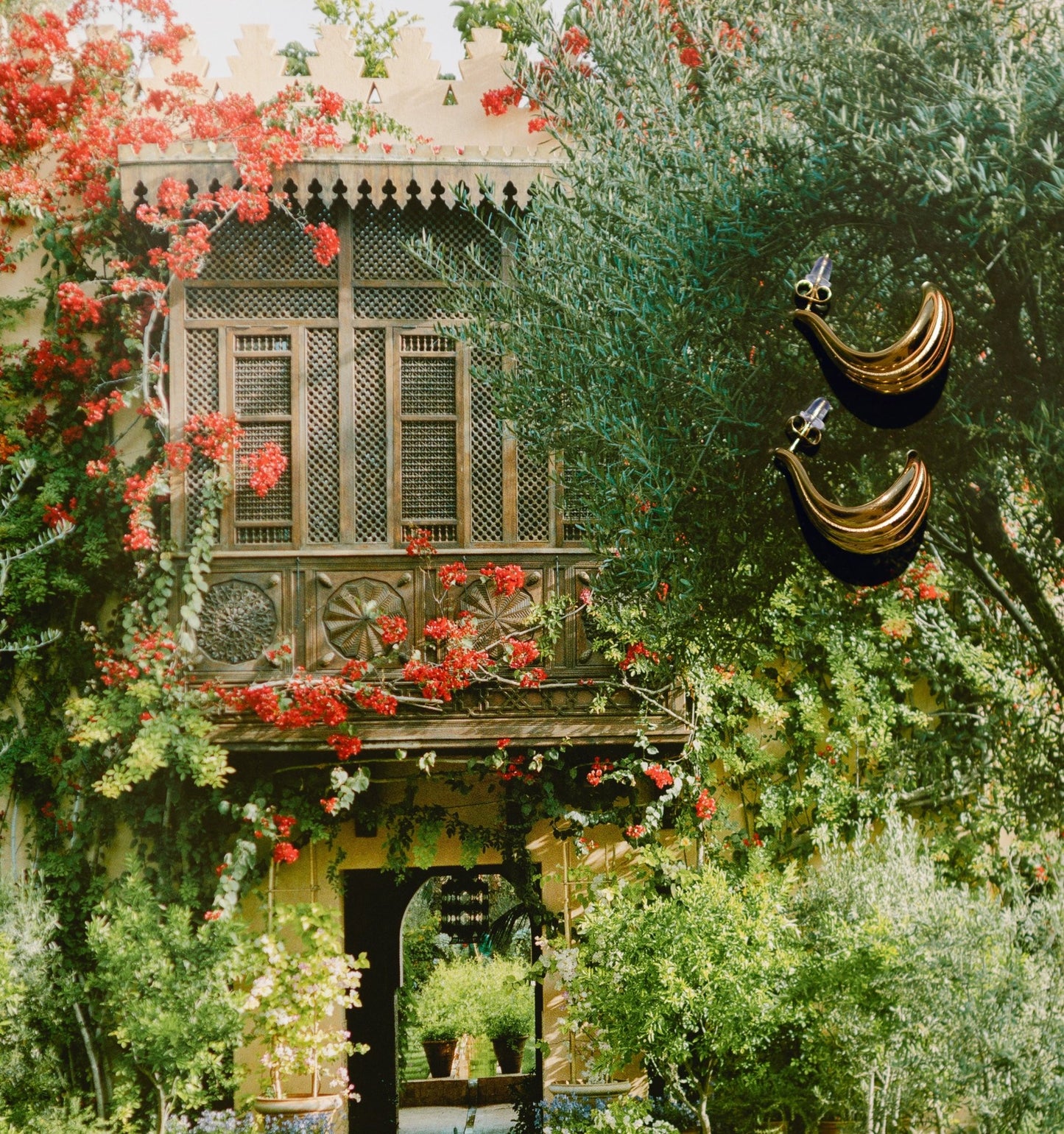 Statement Claw Earrings - IDYLL MANOR