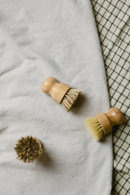 Palm Pot Scrub Brush