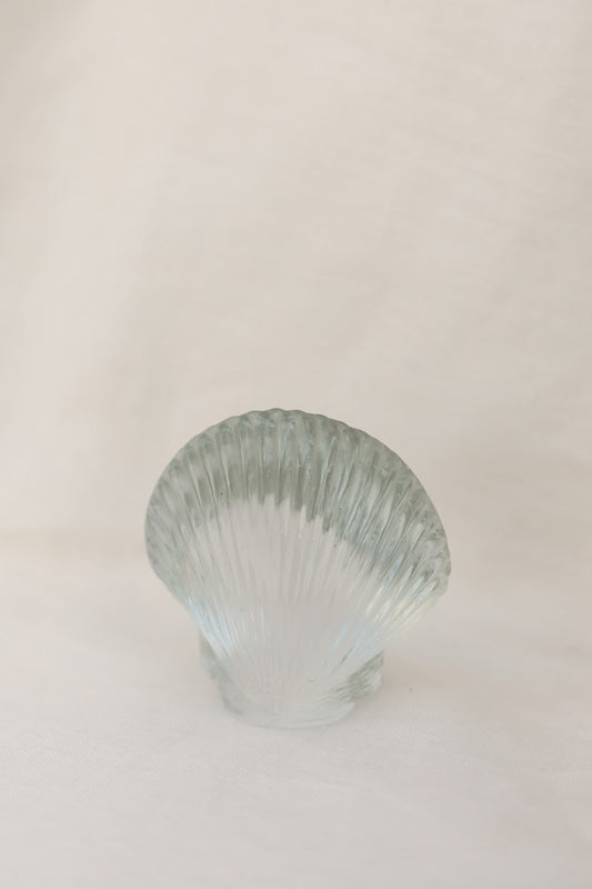 Found Glass Seashell Object