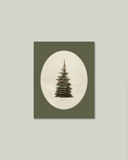 Oval Matte Tree Artist Board - IDYLL MANOR