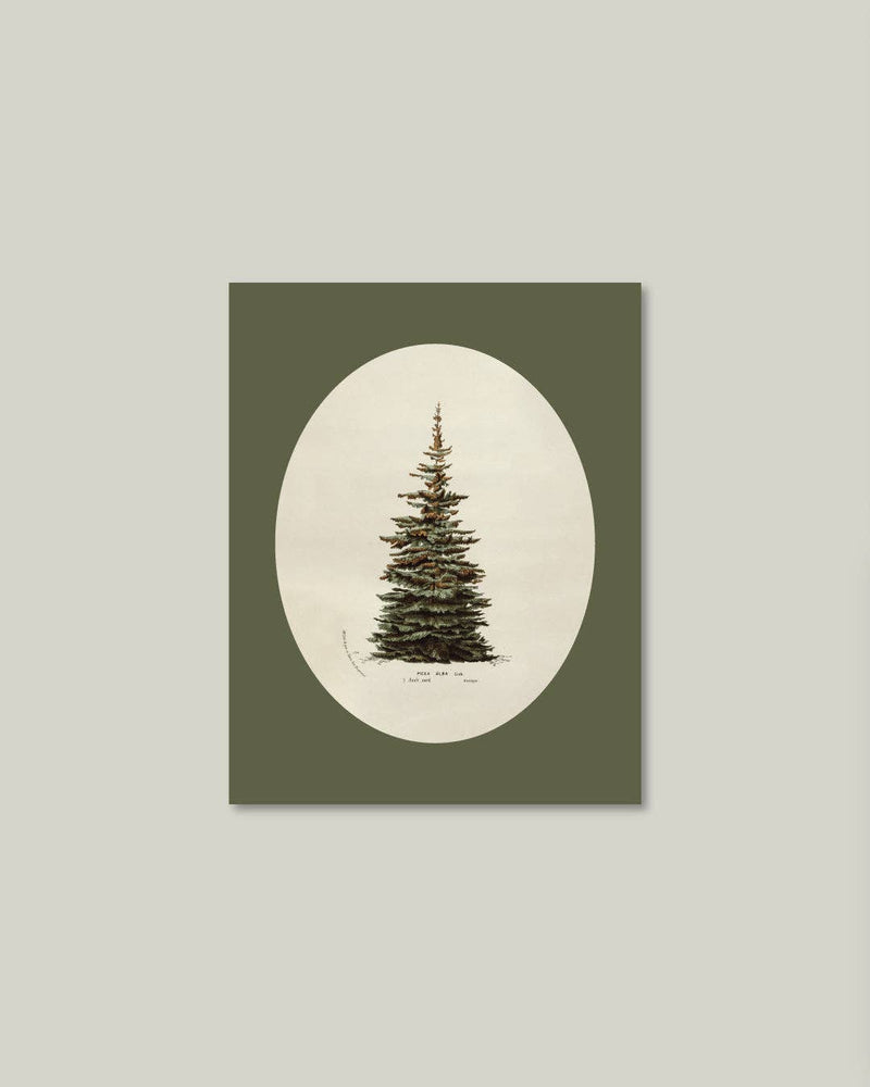 Oval Matte Tree Artist Board - IDYLL MANOR