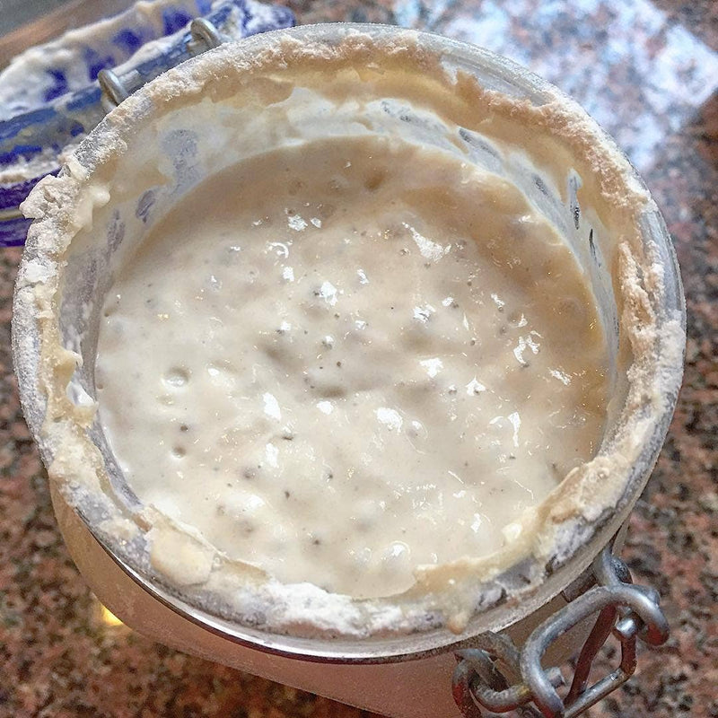 Sourdough Starter - IDYLL MANOR