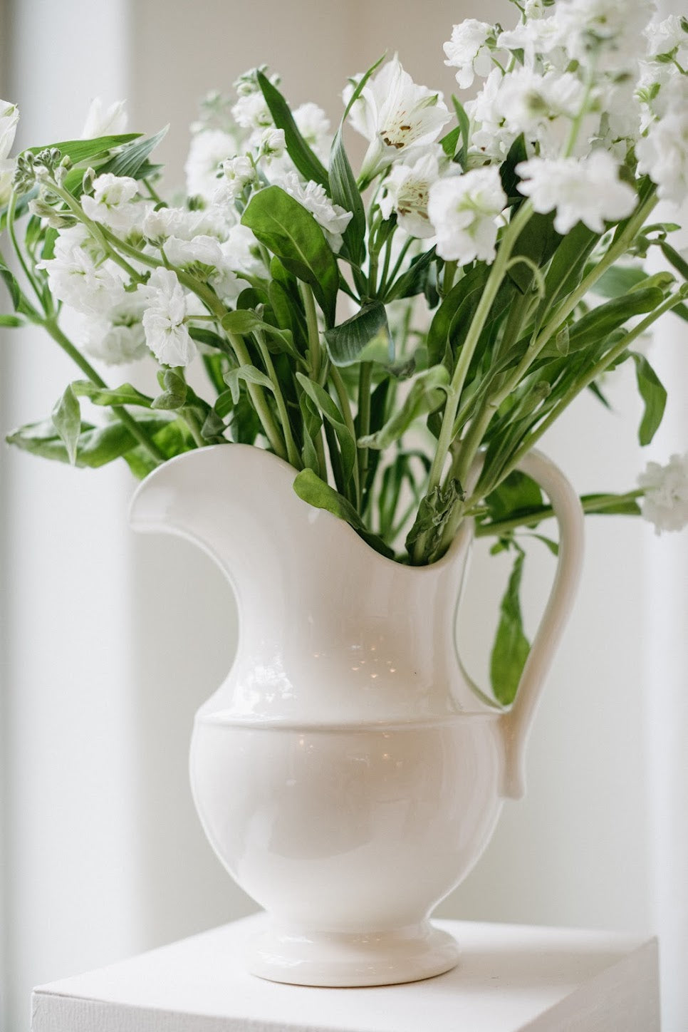 Aviary Pitcher No. 1
