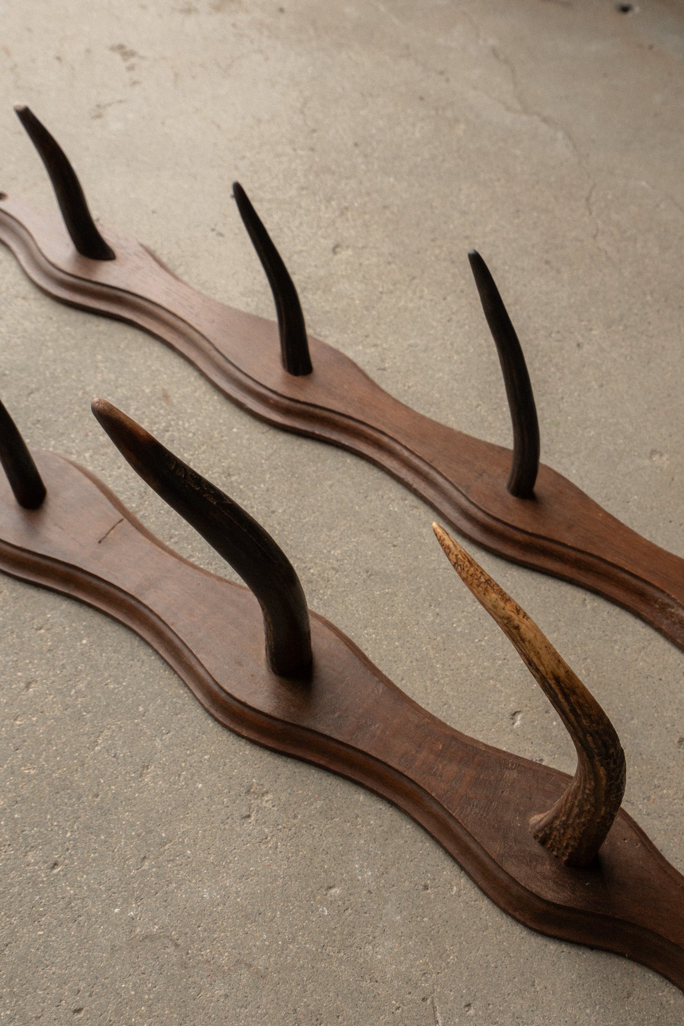 French Oak Sporting Rack | Wall - Mounted Rod Rack with Horn Hooks | Set of 2 - IDYLL MANOR