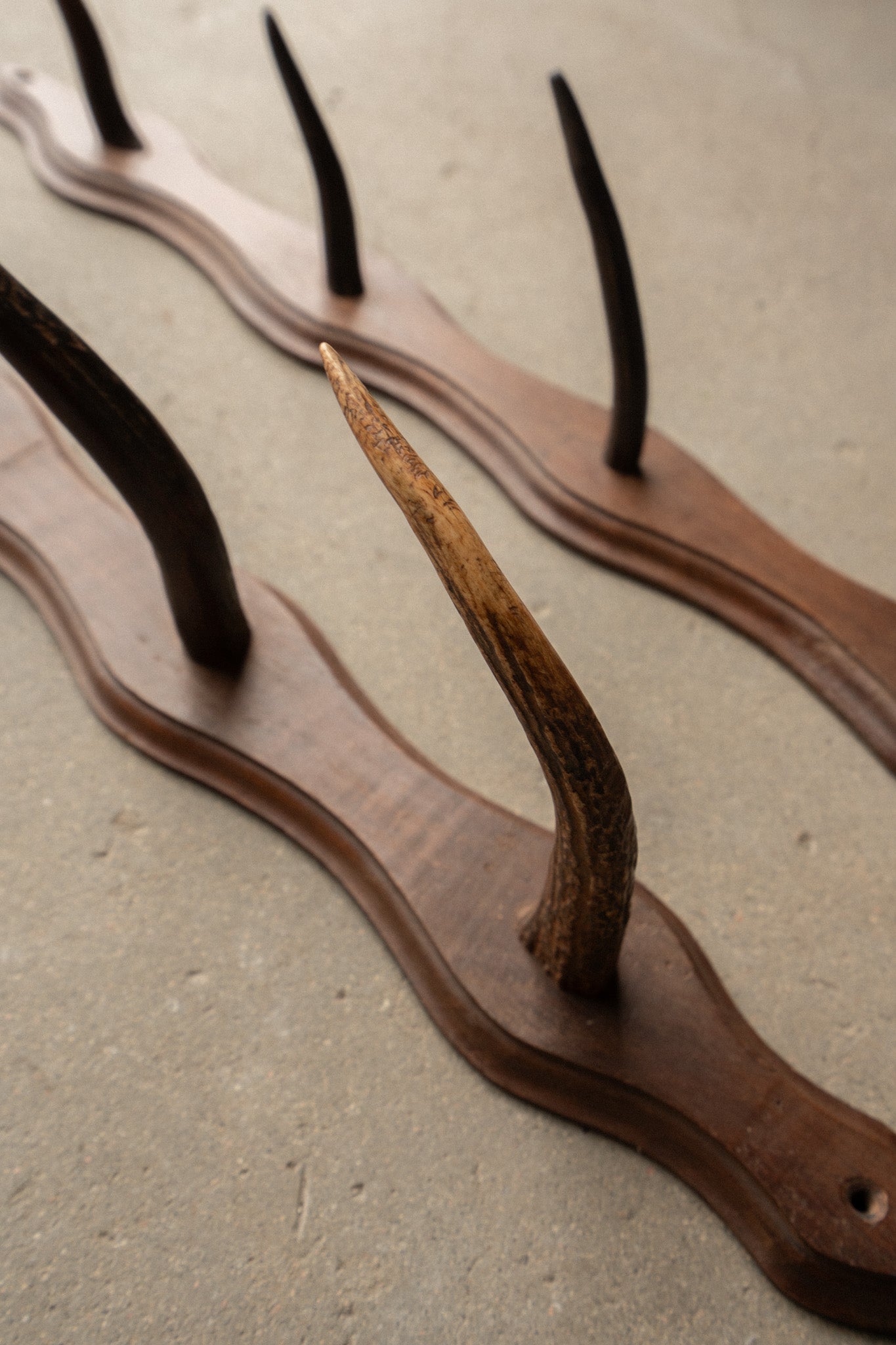French Oak Sporting Rack | Wall - Mounted Rod Rack with Horn Hooks | Set of 2 - IDYLL MANOR