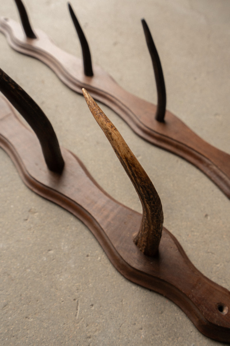 French Oak Sporting Rack | Wall - Mounted Rod Rack with Horn Hooks | Set of 2 - IDYLL MANOR
