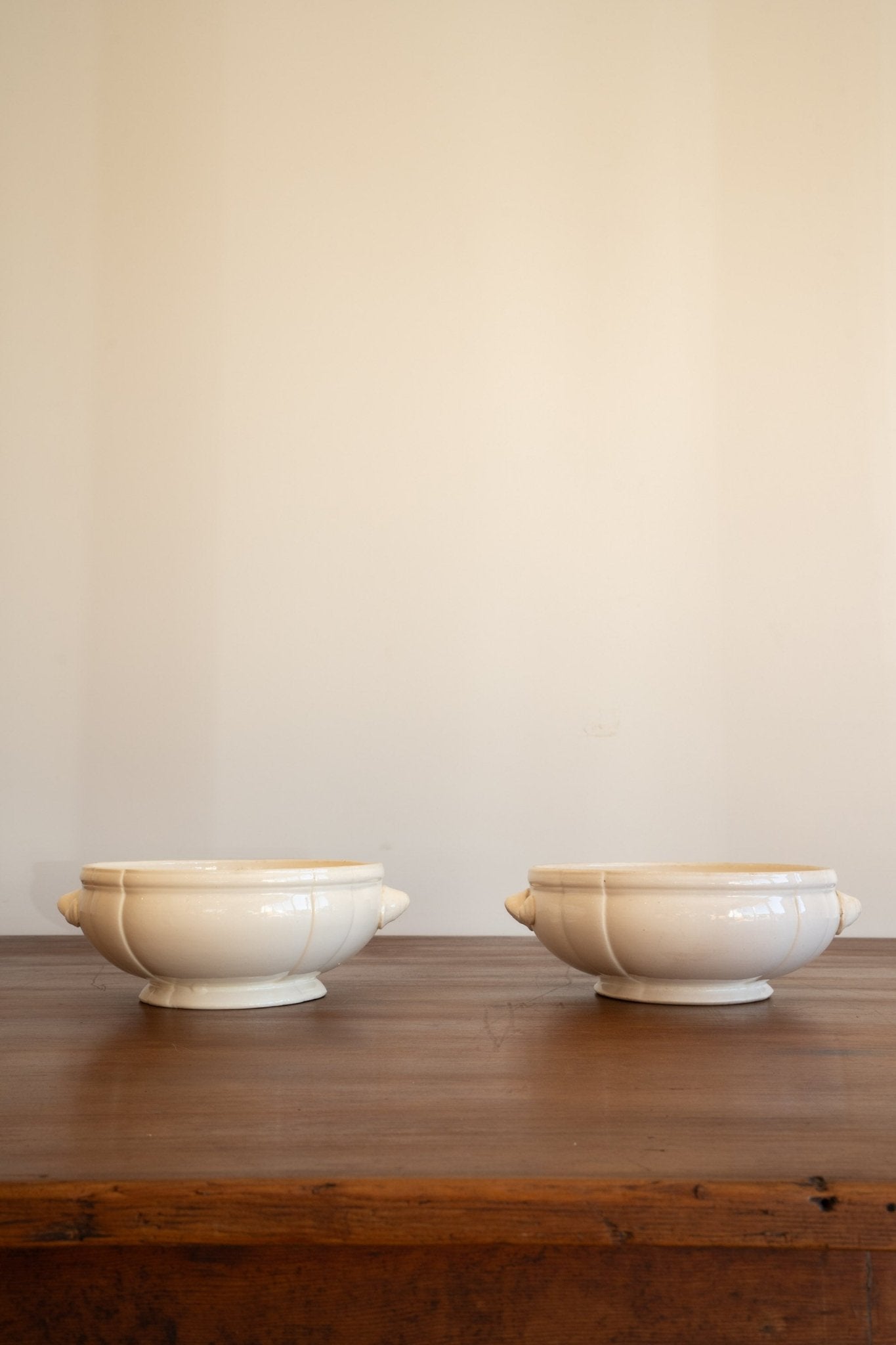 French Serving Tureen Bowls | Large - IDYLL MANOR