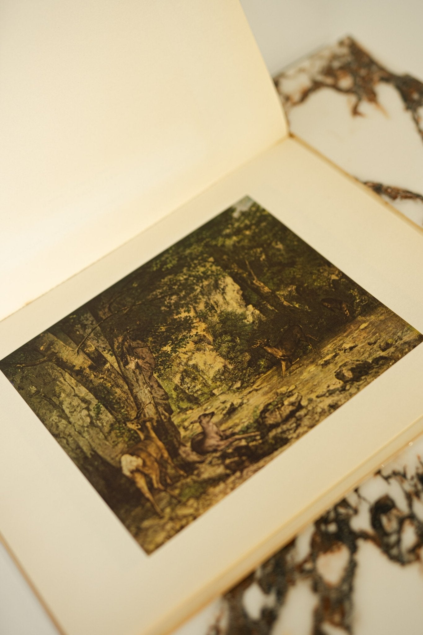 Large Vintage Art Print Coffee Table Book | Great Landscapes - IDYLL MANOR