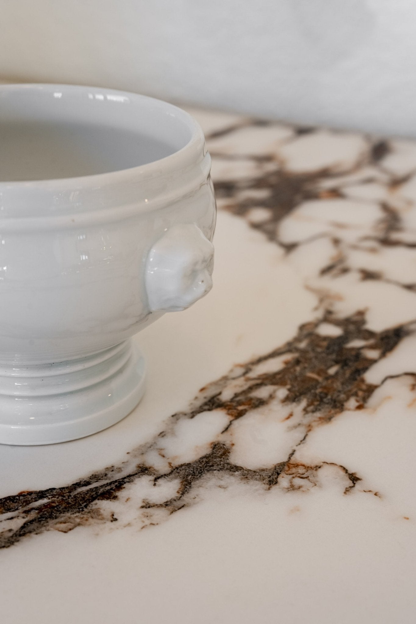 French Lions Head Soup Bowl - IDYLL MANOR