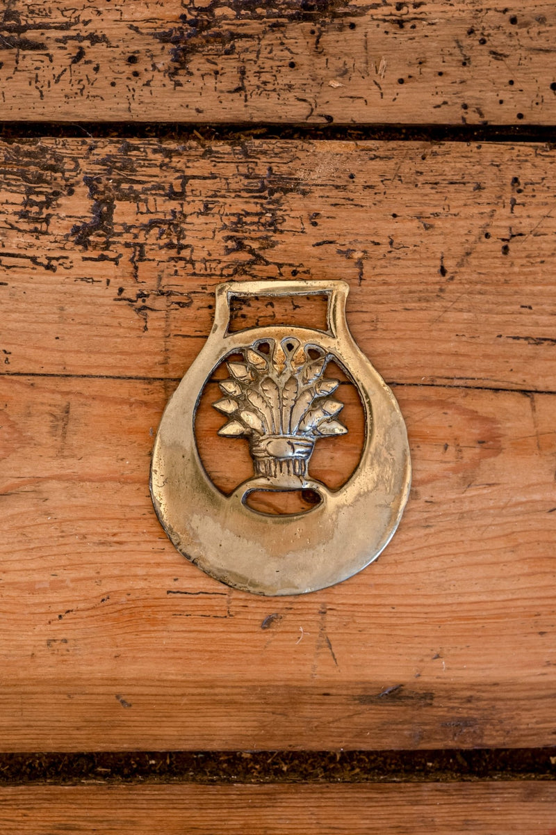 Victorian English Horse Brass Wall Ornaments (Various Styles) - IDYLL MANOR