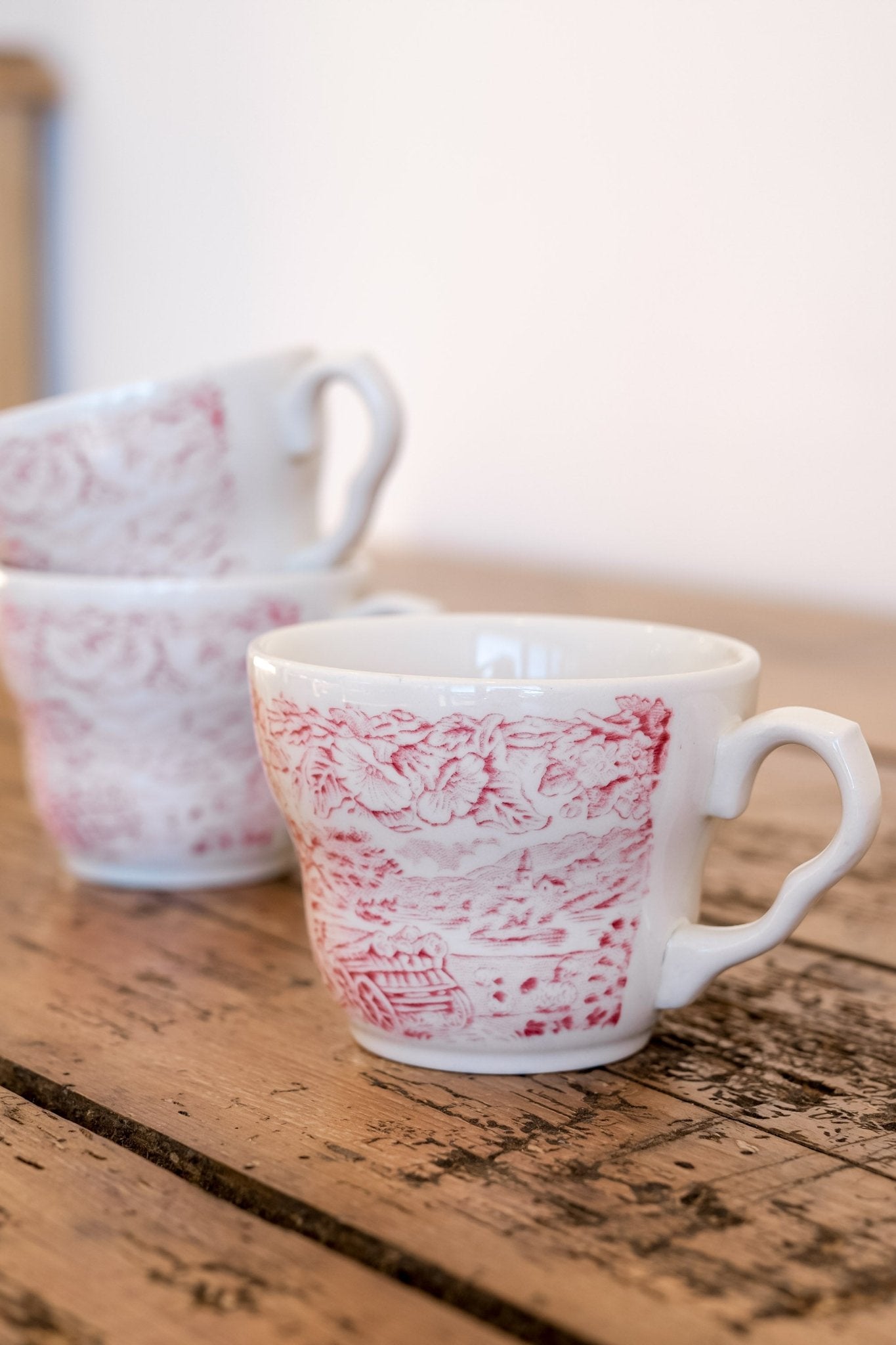 Vintage Transferware Teacups - IDYLL MANOR