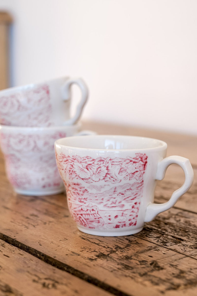 Vintage Transferware Teacups - IDYLL MANOR