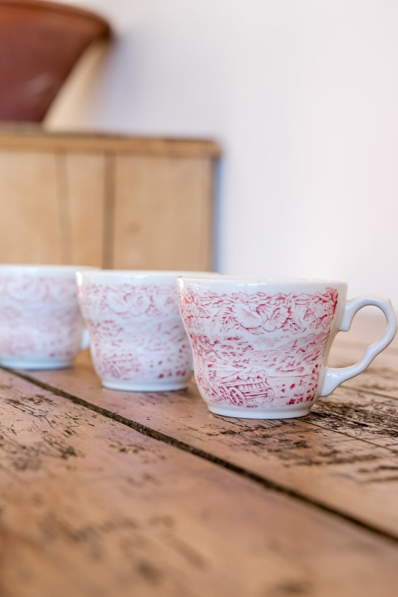 Vintage Transferware Teacups - IDYLL MANOR