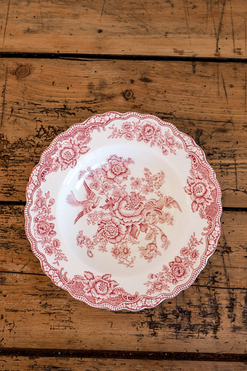 Ducol Transferware Plates | Bristol Pattern - IDYLL MANOR