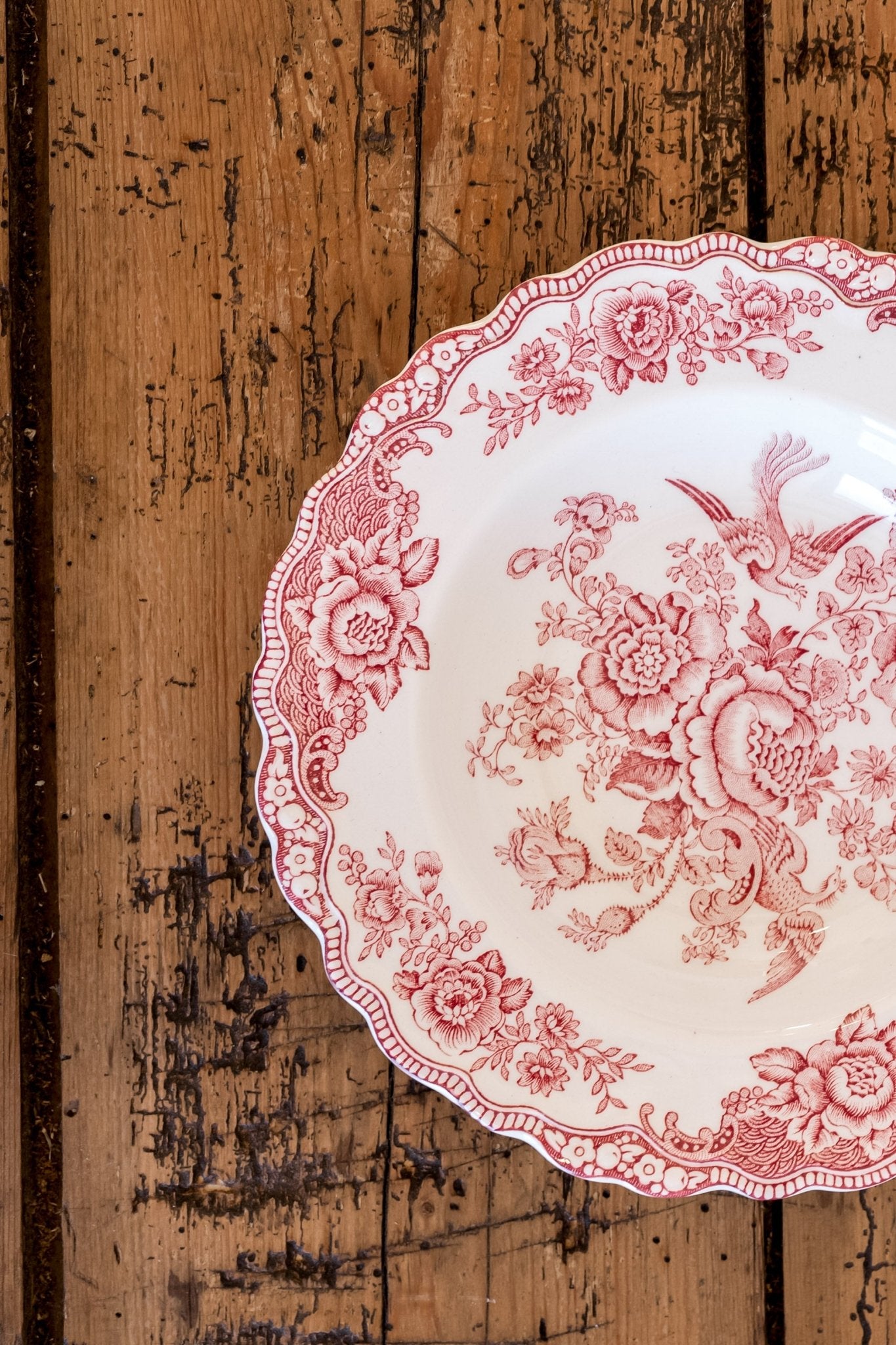 Ducol Transferware Plates | Bristol Pattern - IDYLL MANOR