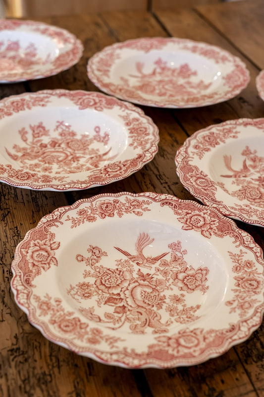 Ducol Transferware Plates | Bristol Pattern - IDYLL MANOR