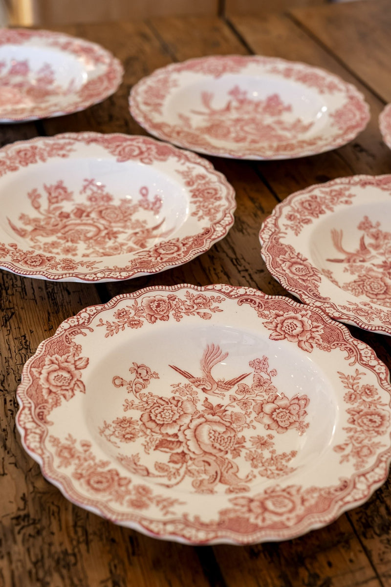 Ducol Transferware Plates | Bristol Pattern - IDYLL MANOR