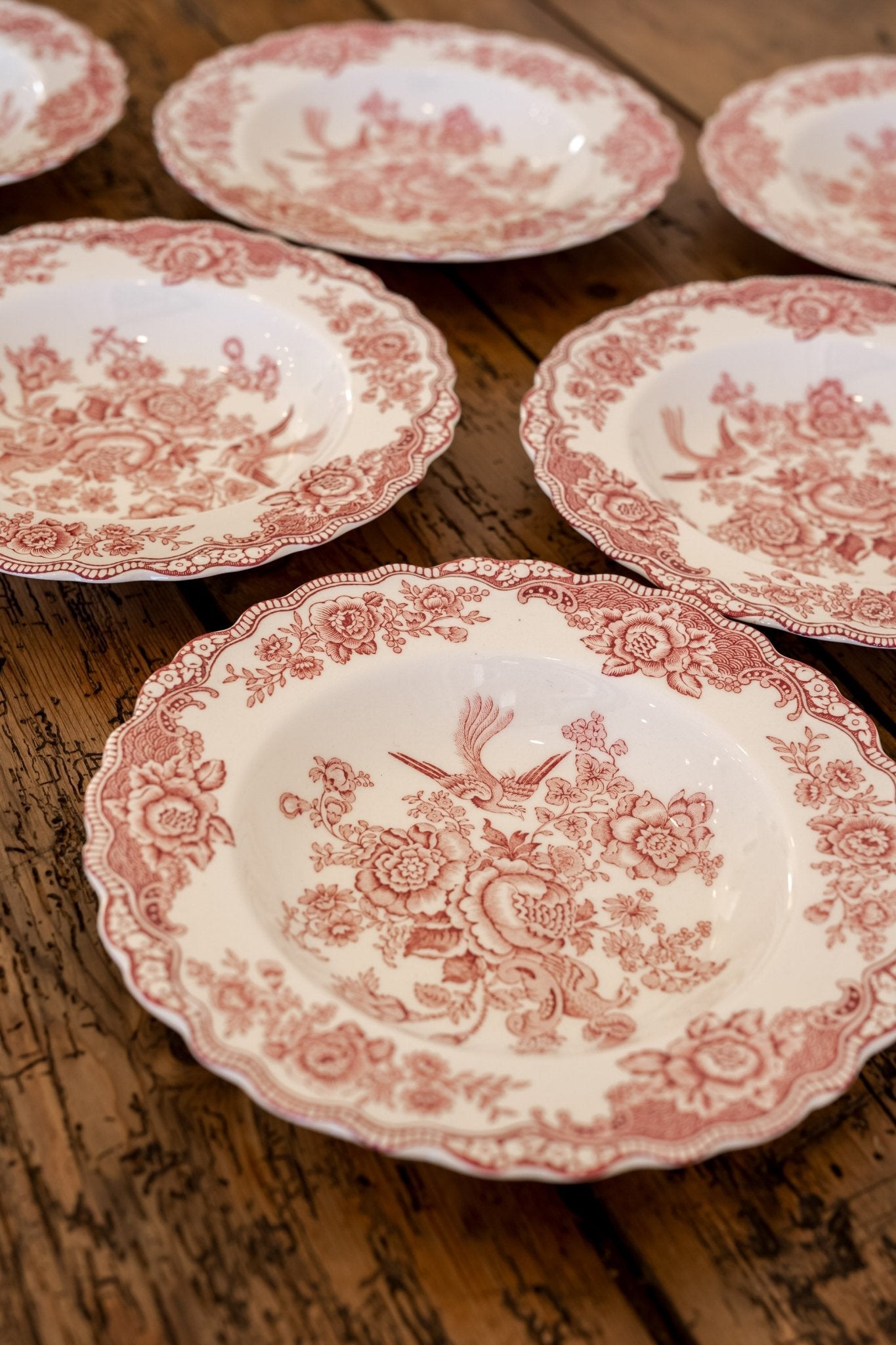 Ducol Transferware Plates | Bristol Pattern - IDYLL MANOR