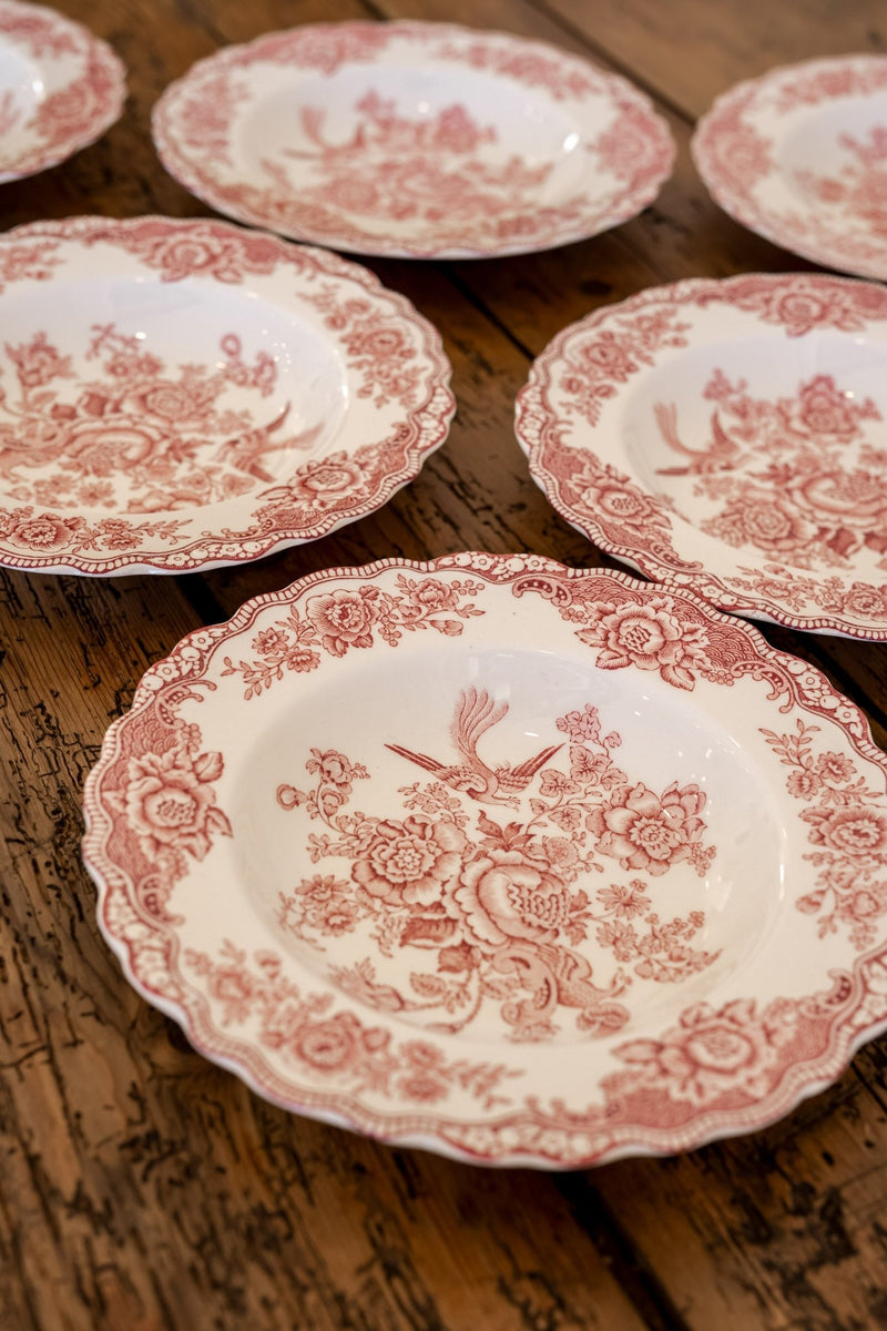 Ducol Transferware Plates | Bristol Pattern - IDYLL MANOR