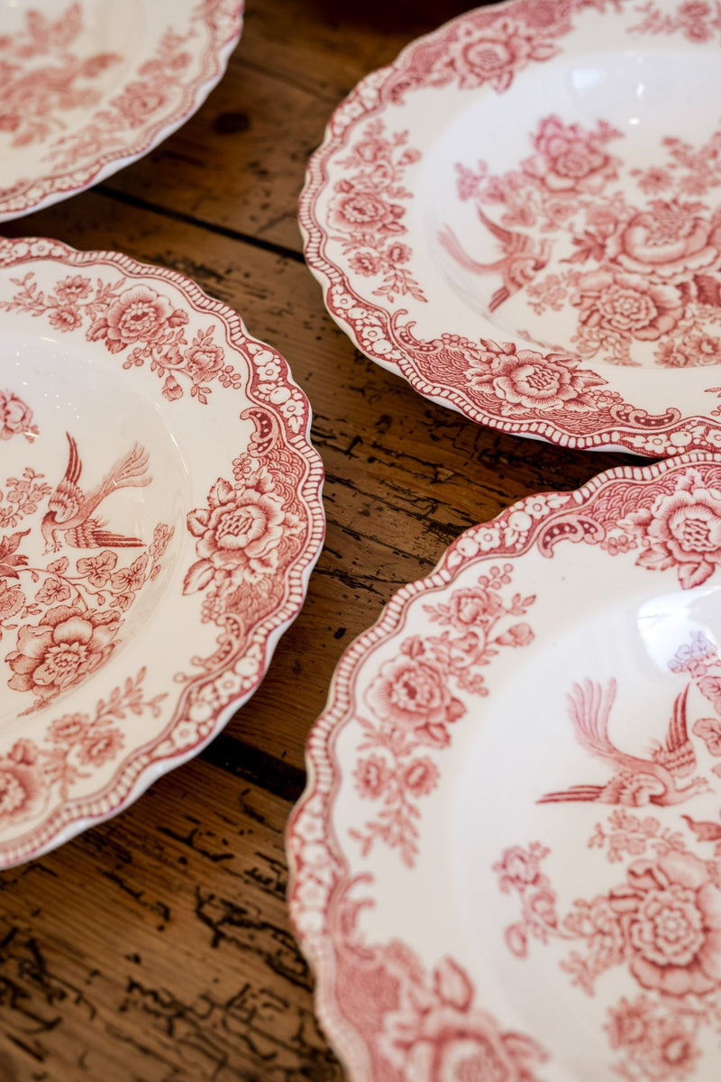 Ducol Transferware Plates | Bristol Pattern - IDYLL MANOR