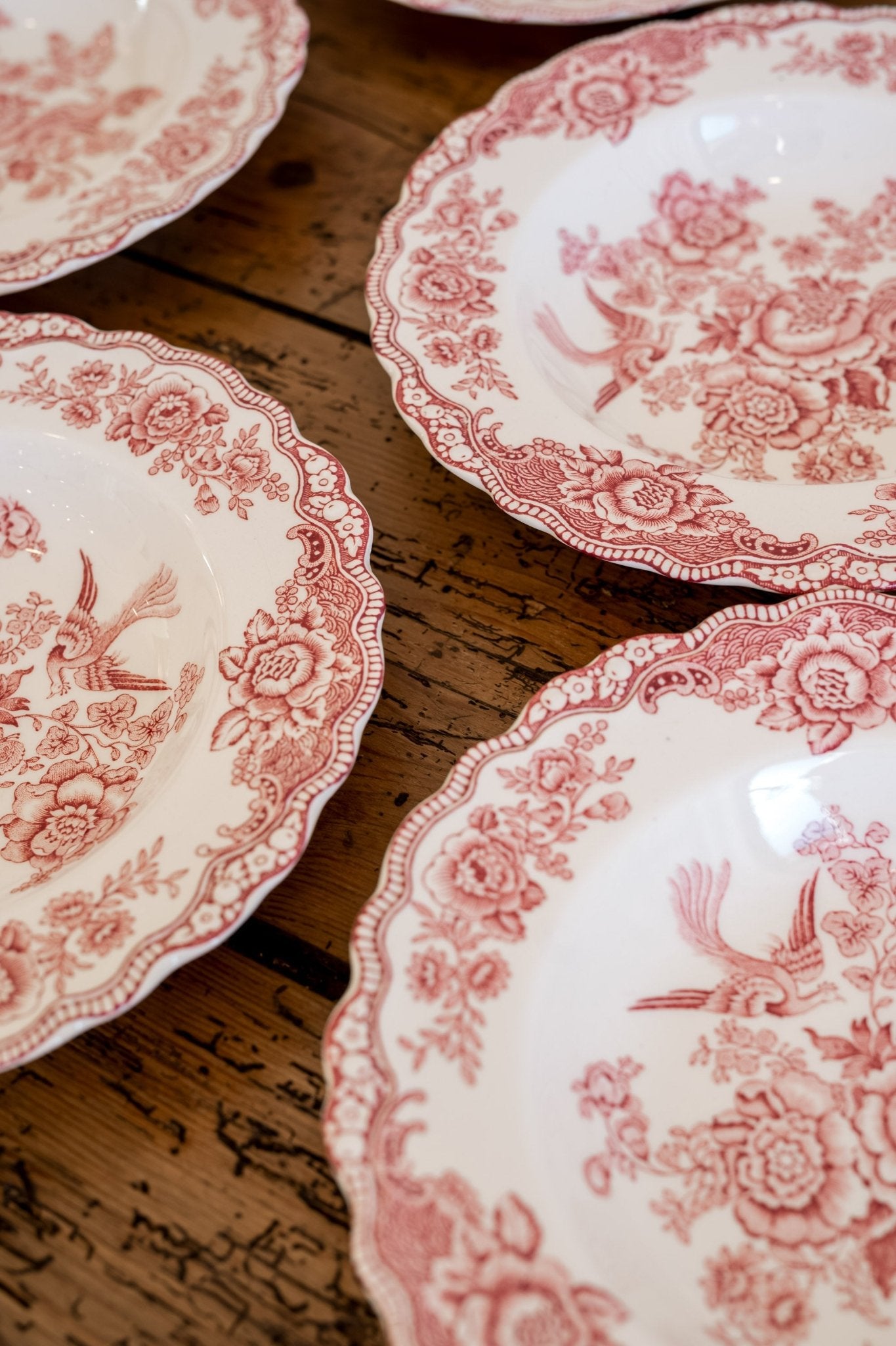 Ducol Transferware Plates | Bristol Pattern - IDYLL MANOR
