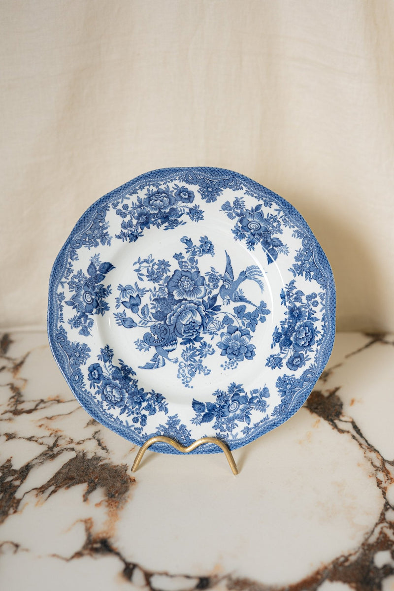 Asiatic Pheasant Collection | Sets of 4 (Plates + Teacups) - IDYLL MANOR