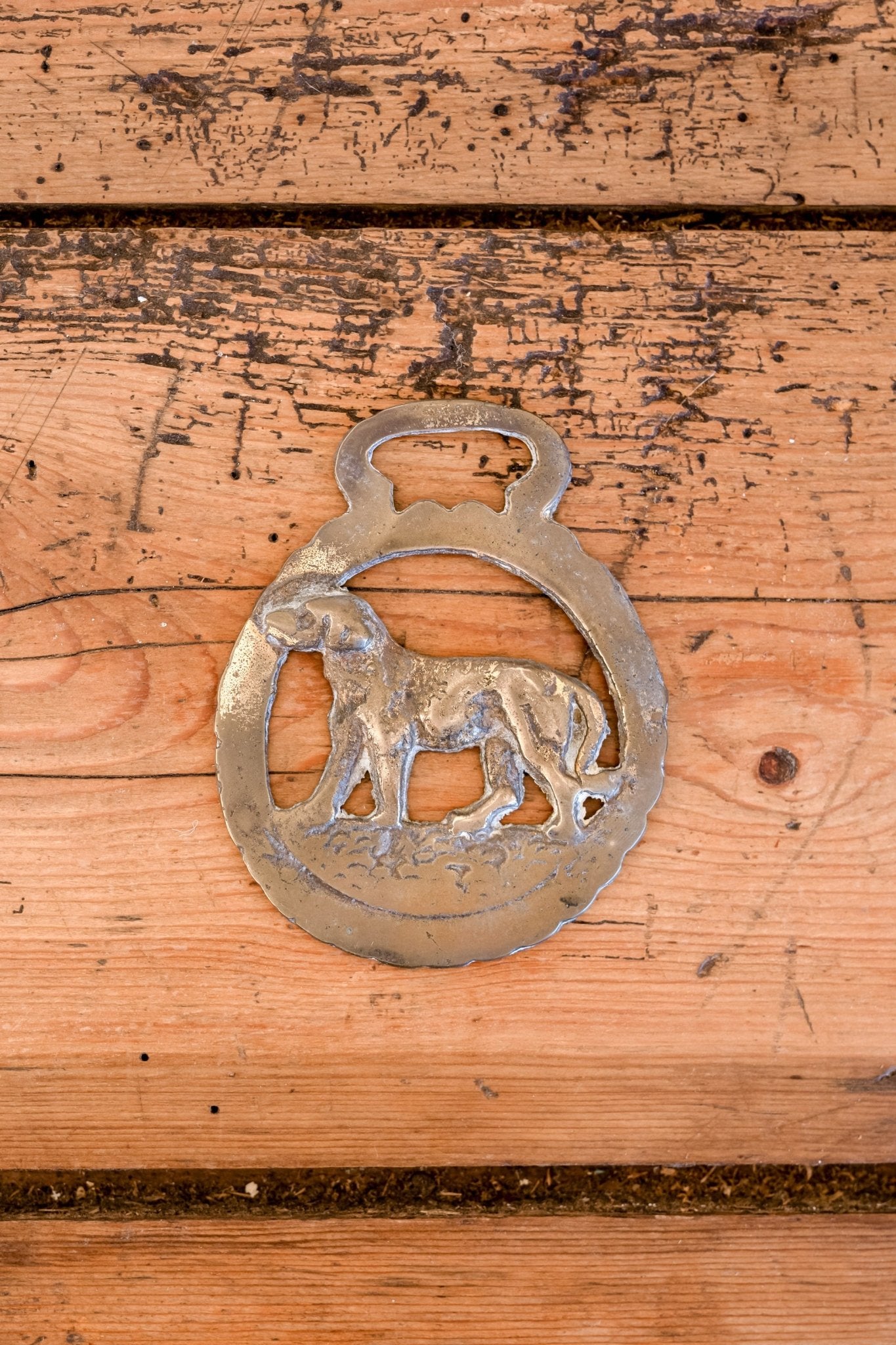 Victorian English Horse Brass Wall Ornaments (Various Styles) - IDYLL MANOR