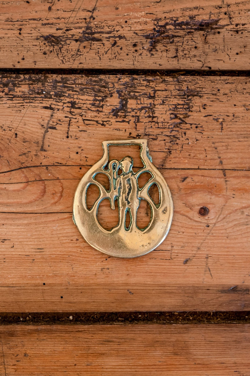 Victorian English Horse Brass Wall Ornaments (Various Styles) - IDYLL MANOR