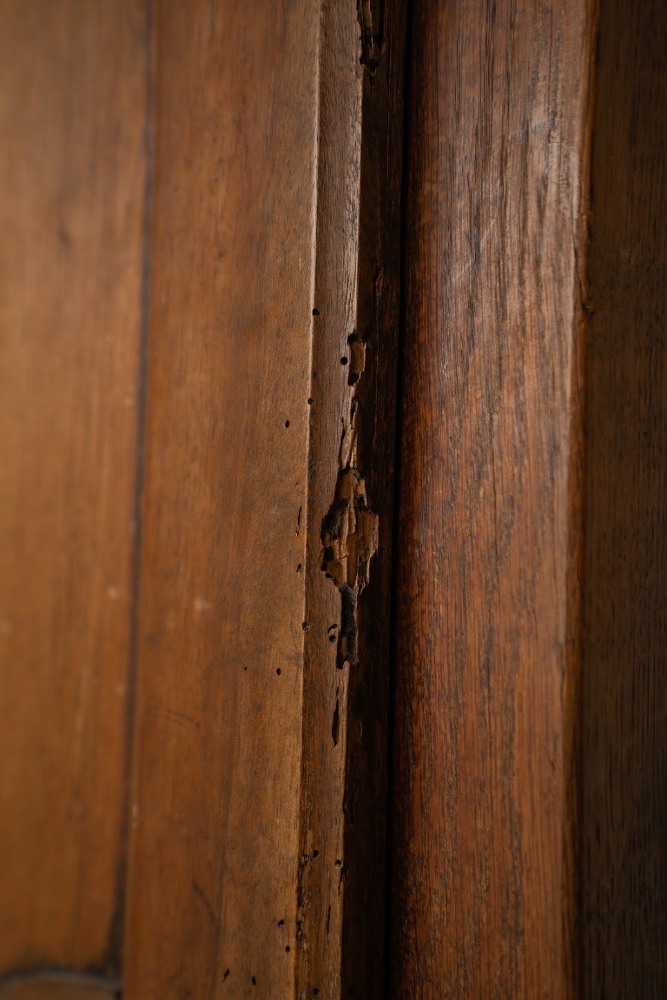 French Oak Cupboard with Carved Bird Detail | Narrow Linen & Storage Cabinet
