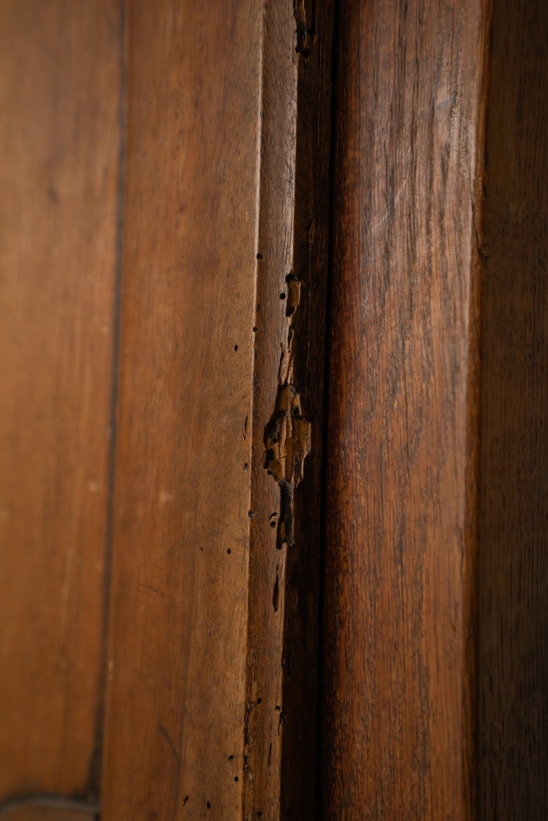 French Oak Cupboard with Carved Bird Detail | Narrow Linen & Storage Cabinet