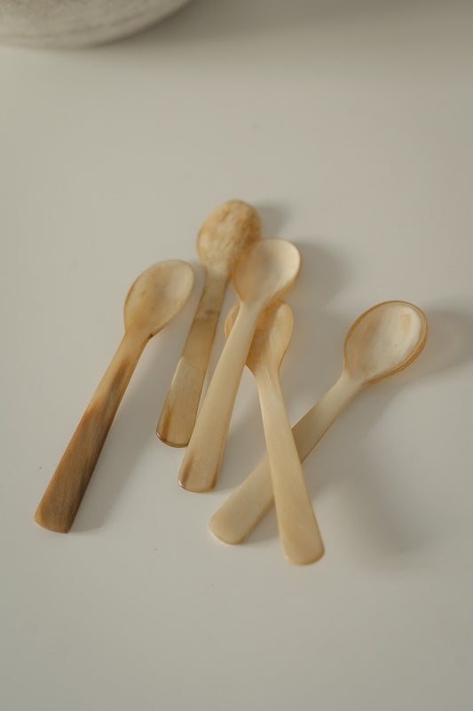 Bone Spoons | Set of 5