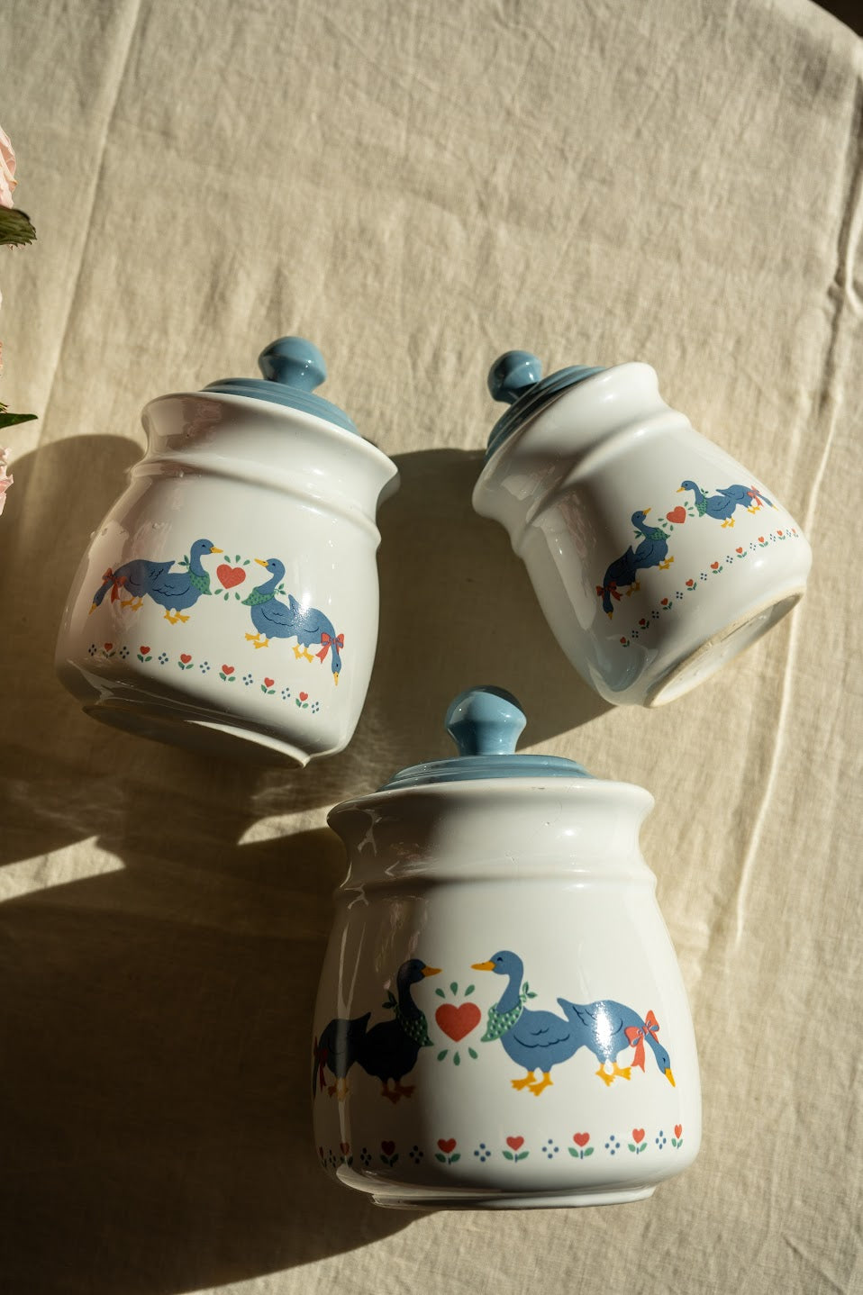 Duck Canisters Set | Set of Three