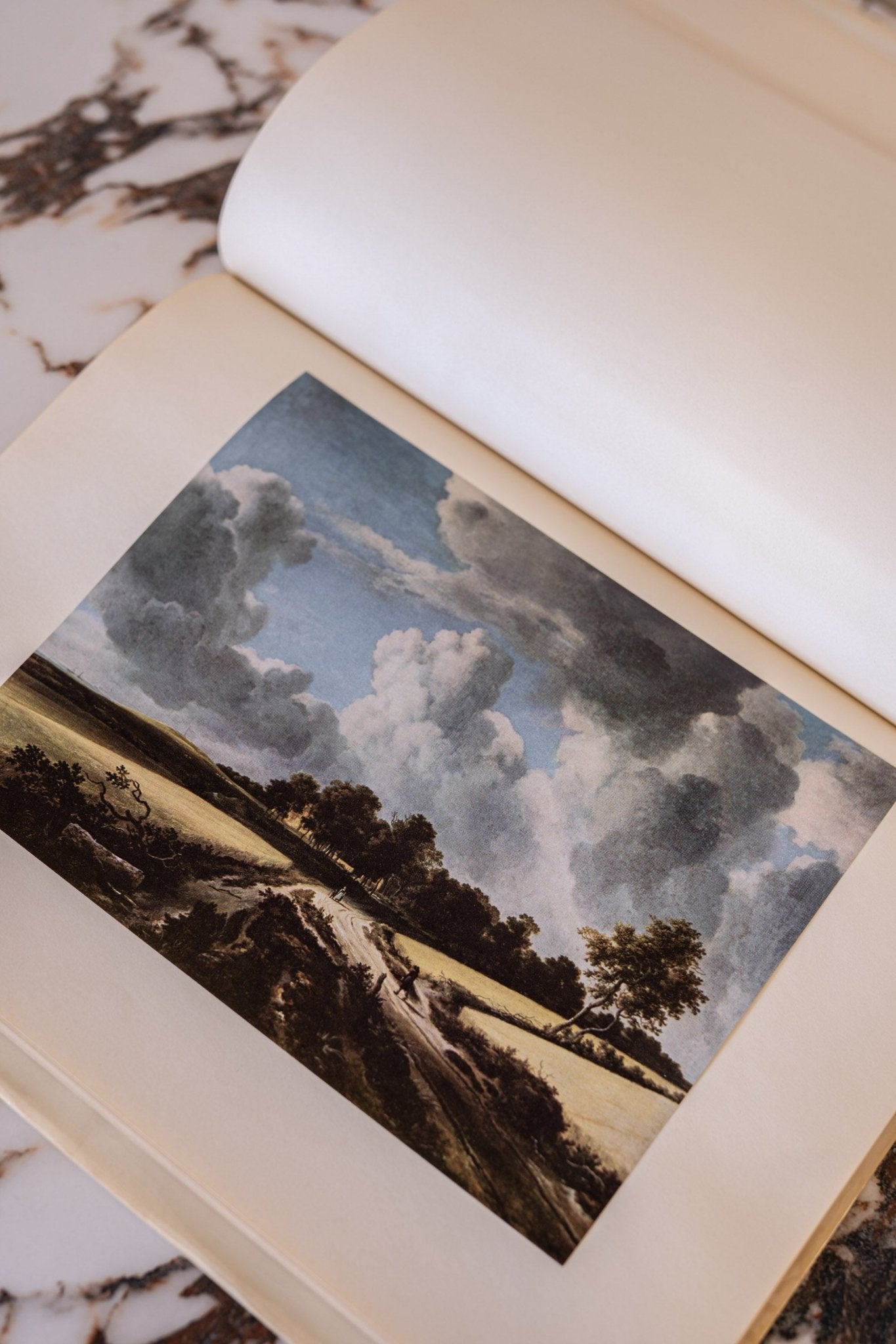 Large Vintage Art Print Coffee Table Book | Great Landscapes - IDYLL MANOR