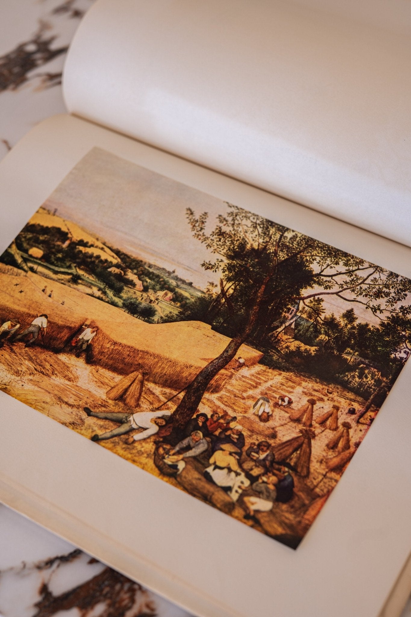 Large Vintage Art Print Coffee Table Book | Bruegel - IDYLL MANOR
