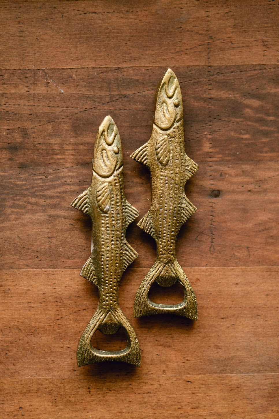 Fish Bottle Opener